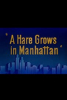 A Hare Grows in Manhattan