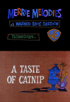 A Taste of Catnip