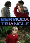 Secrets of the Bermuda Triangle