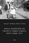 What Happened on Twenty-third Street New York City