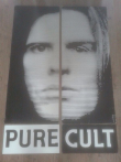 Pure Cult: Music for Rockers, Ravers, Lovers and Sinners
