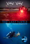 The Last Turtle
