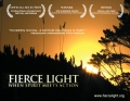 Fierce Light: When Spirit Meets Action