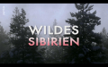 Siberia's Wild Year