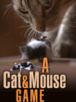 A Cat and Mouse Game