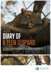 Diary of a Teen Leopard