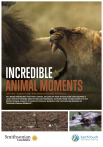 Incredible Animal Moments