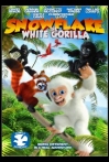 Snowflake, the White Gorilla