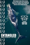 Entangled: The Race to Save Right Whales from Extinction