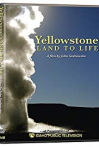 Yellowstone: Land to Life