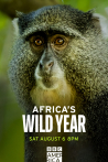 Africa's wild year