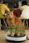 The Secret Life of Our Pets