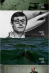 Rogue Sharks