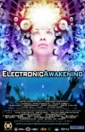 Electronic Awakening