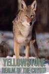 Yellowstone Realm of the Coyote