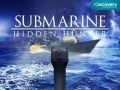The Ultimate Guide: Submarines