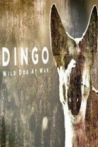 Dingo Wild Dog at War
