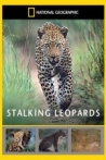 National Geographic: Stalking Leopards