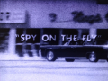 Spy on the Fly