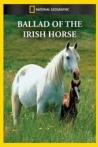 Ballad of the Irish Horse