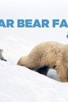 The Polar Bear Family and Me