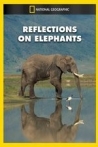 Reflections on Elephants movie