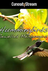 Hummingbirds Jewelled Messengers
