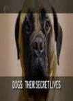 Dogs: Their Secret Lives