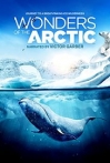 Wonders of the Arctic 3D