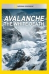 Avalanche The White Death