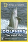 Dolphins The Wild Side