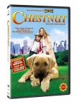 Chestnut - Hero of Central Park