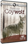 Nature: Meet the Coy-wolf