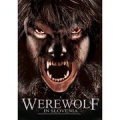 A Werewolf in Slovenia 