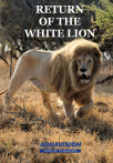 Return of the White Lion