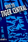 Dive to Tiger Central