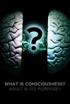 What Is Consciousness? What Is Its Purpose?