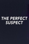 The Perfect Suspect