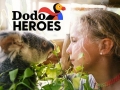 Dodo Heroes