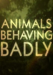 BBC Animals Behaving Badly