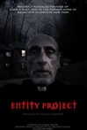 Entity Project